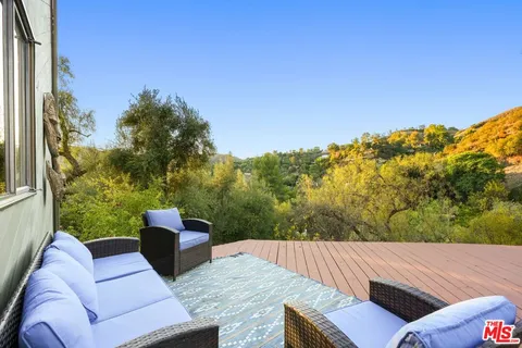 a view of a yard with plants and trees