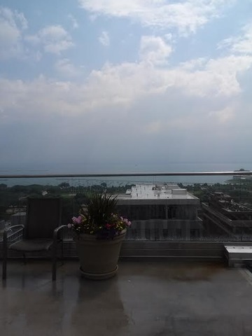 40 East 9th Street, Unit 804 Chicago, IL 60605 - Photo 12 of 16