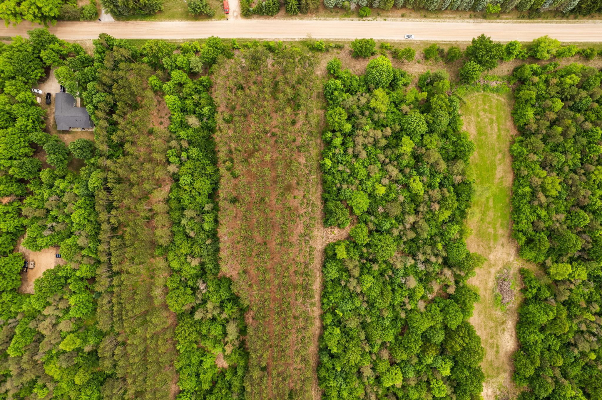 Parcel E St Johns Road Interlochen, MI 49643 - Photo 29 of 39