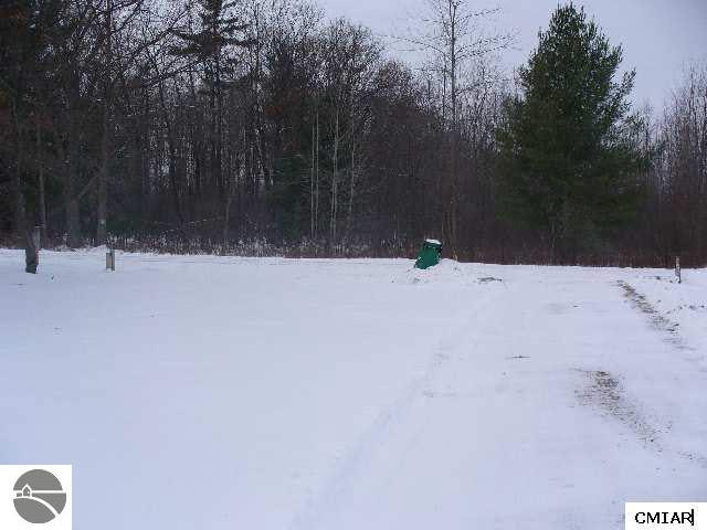 11719 South Gilmore Road Blanchard, MI 49310 - Photo 5 of 7 1766928-4.JPG
