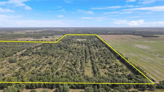 $15,000,000 | 26714 Martin Highway, Okeechobee, FL 34974