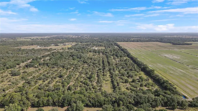 $15,000,000 | 26714 Martin Highway, Okeechobee, FL 34974