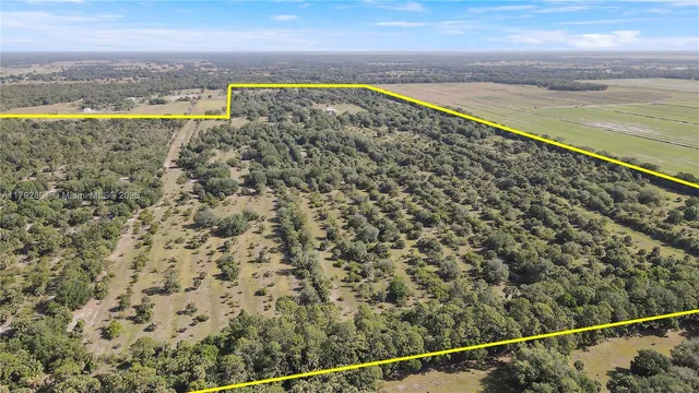 $15,000,000 | 26714 Martin Highway, Okeechobee, FL 34974