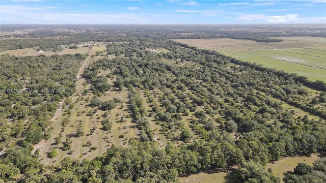 $15,000,000 | 26714 Martin Highway, Okeechobee, FL 34974