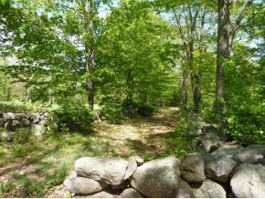 651 East Deering Road Deering, NH 03244 - Photo 2 of 8