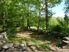 651 East Deering Road Deering, NH 03244 - Photo 3 of 8