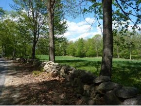 651 East Deering Road Deering, NH 03244 - Photo 5 of 8