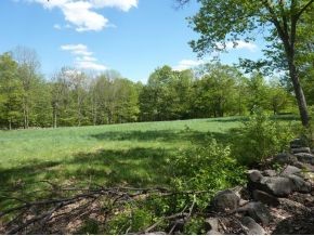 651 East Deering Road Deering, NH 03244 - Photo 6 of 8