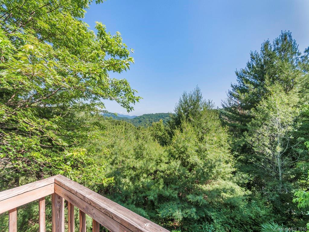 322 Old Country Road Waynesville, NC 28786 - Photo 5 of 12 a view of a balcony with a plant