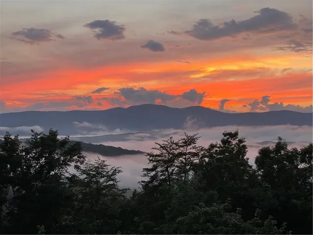 a living room with furniture kitchen and a table