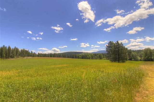 13310 East Blanchard Road Elk, WA 99009 - Photo 11 of 11 Gallery Image 11
