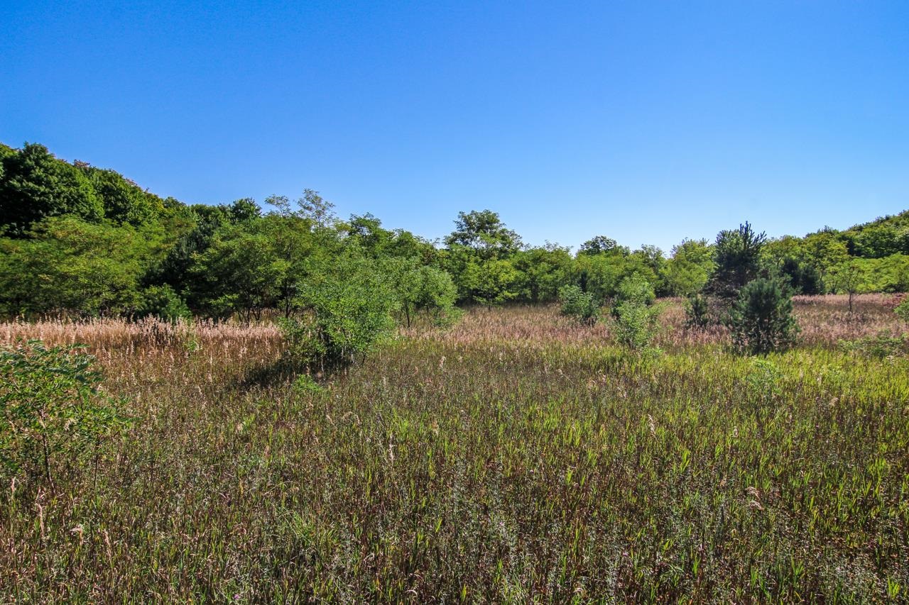 A4 Wallaker Road Benzonia, MI 49616 - Photo 14 of 17