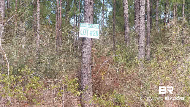 43 10 Mile Road Pensacola, FL 32534 - Photo 4 of 27