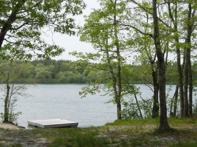 4 Powderhorn Way Sandwich, MA 02563 - Photo 18 of 18 Additional Photo