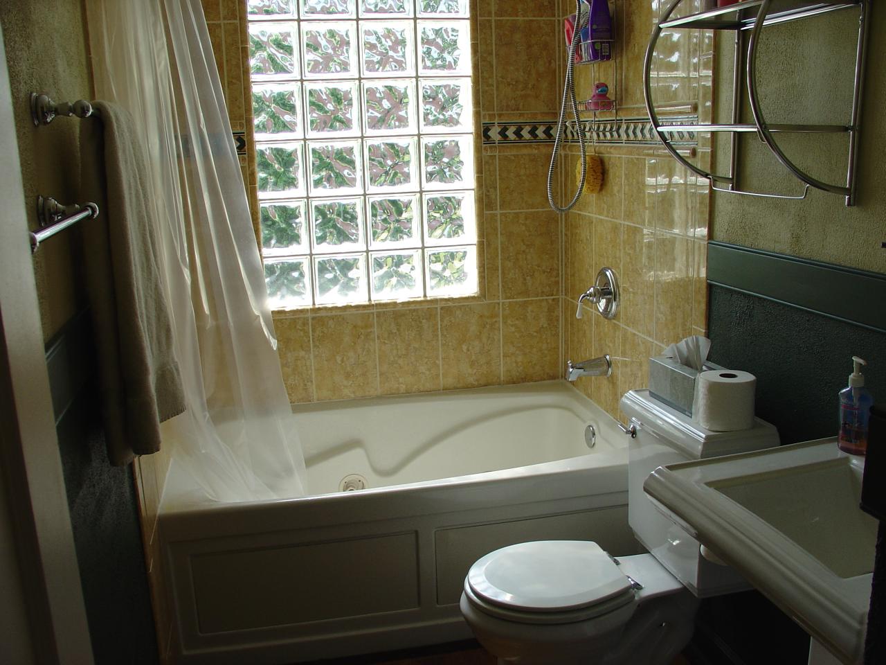 3546 Grandin Road Southwest Roanoke, VA 24018 - Photo 5 of 21 Updated Bathroom With Whirlpool Tub