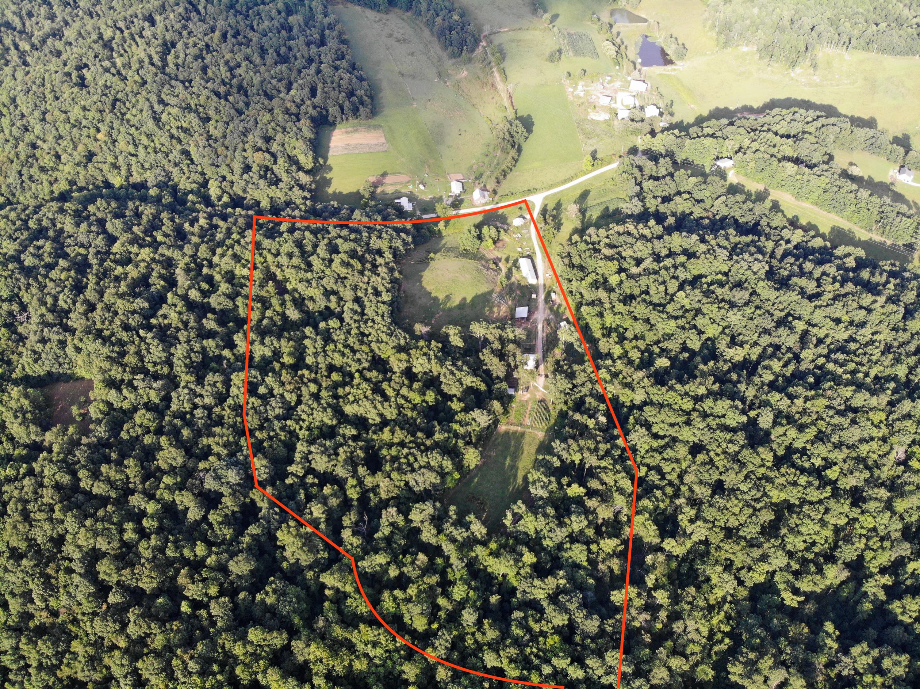 670 Buffalo Road Annville, KY 40402 - Photo 46 of 80 DJI_0788