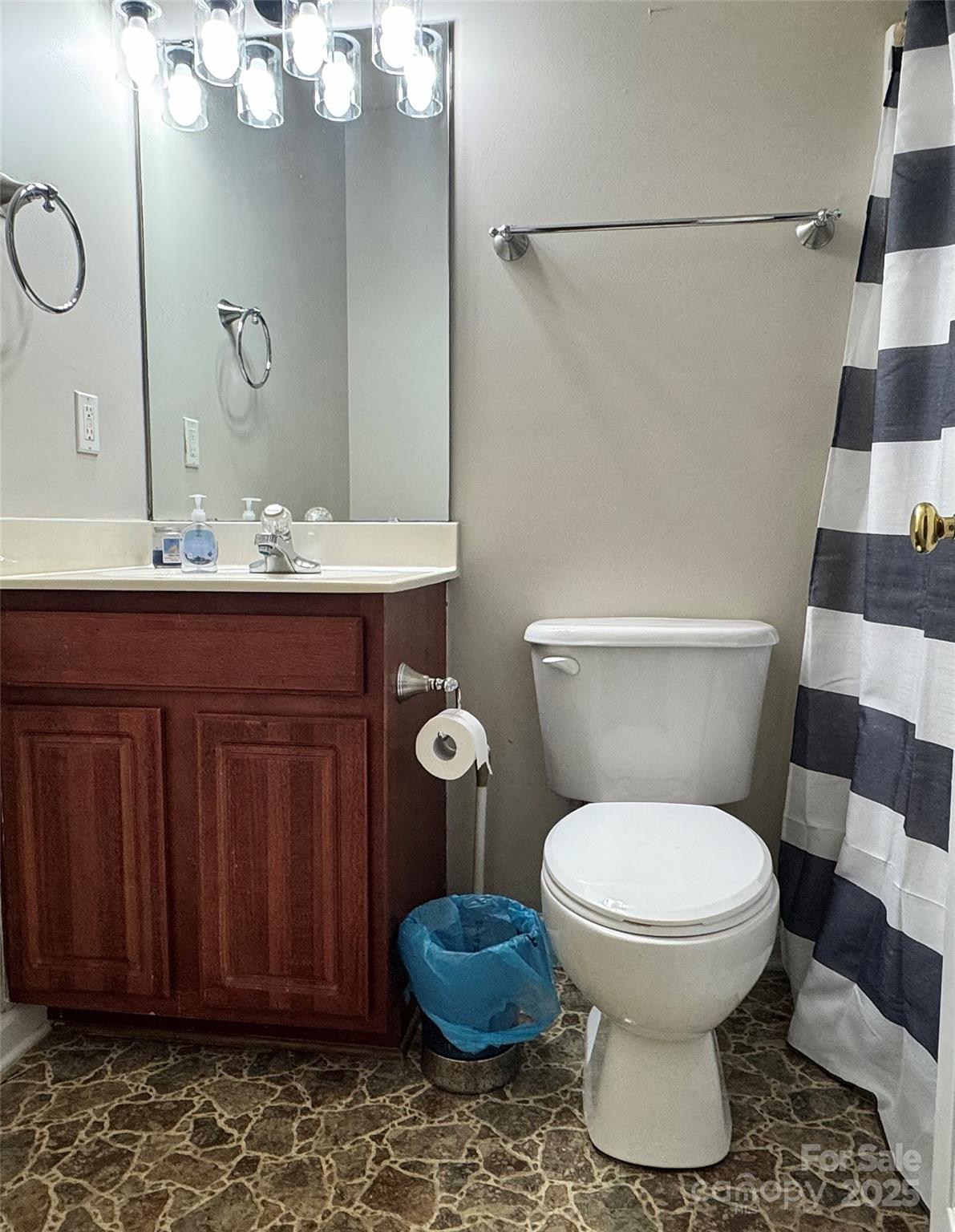 1723 Faulks Church Road Marshville, NC 28103 - Photo 14 of 27 a bathroom with a toilet a sink and a mirror