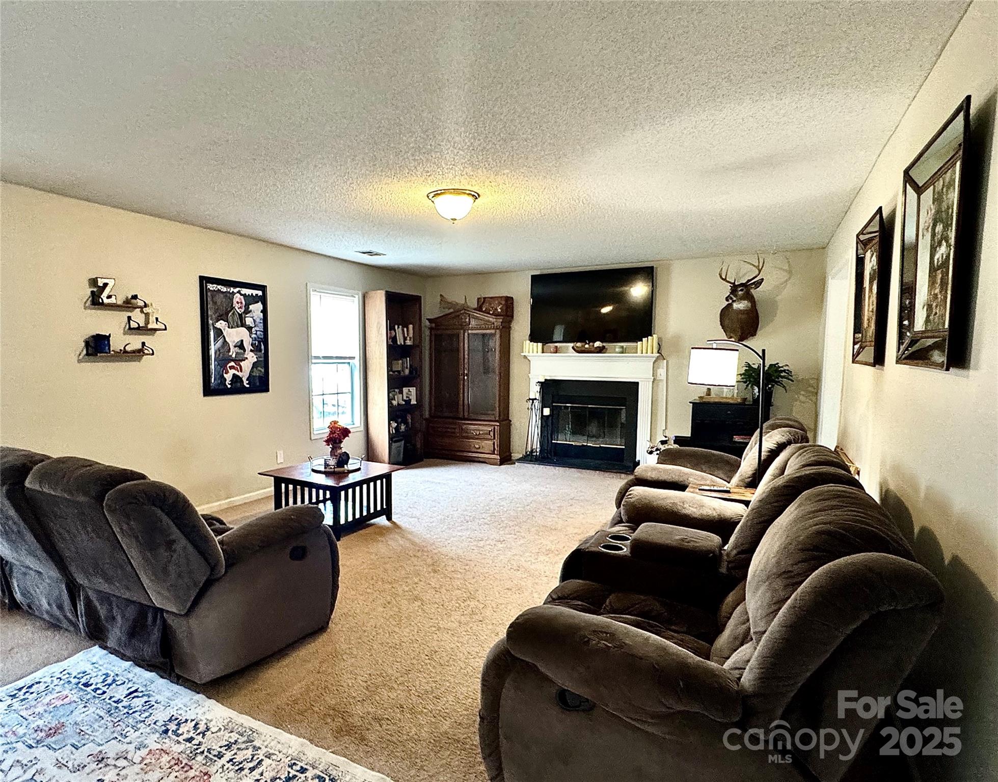 1723 Faulks Church Road Marshville, NC 28103 - Photo 26 of 27 a living room with furniture a fireplace and a flat screen tv