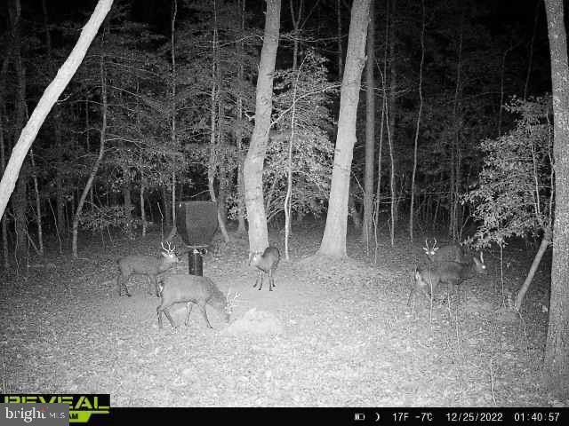 3819 Elliott Island Road Vienna, MD 21869 - Photo 15 of 24