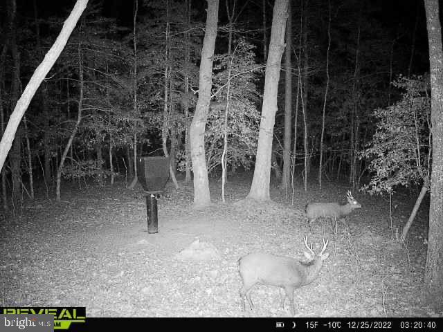 3819 Elliott Island Road Vienna, MD 21869 - Photo 18 of 24