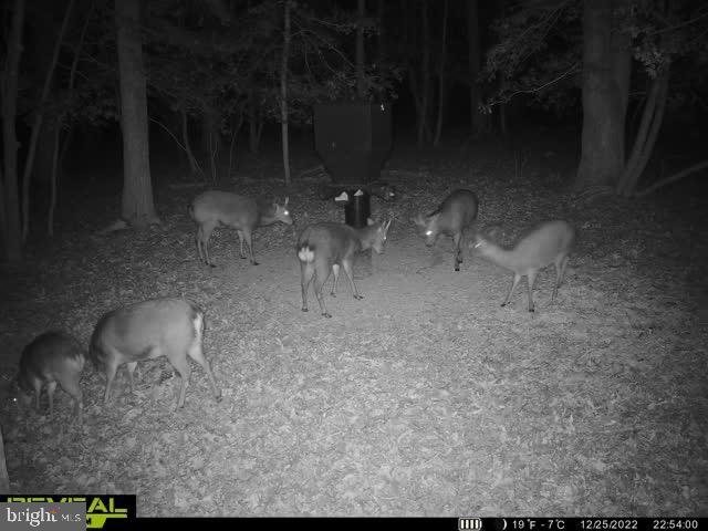 3819 Elliott Island Road Vienna, MD 21869 - Photo 19 of 24