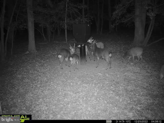 3819 Elliott Island Road Vienna, MD 21869 - Photo 5 of 24