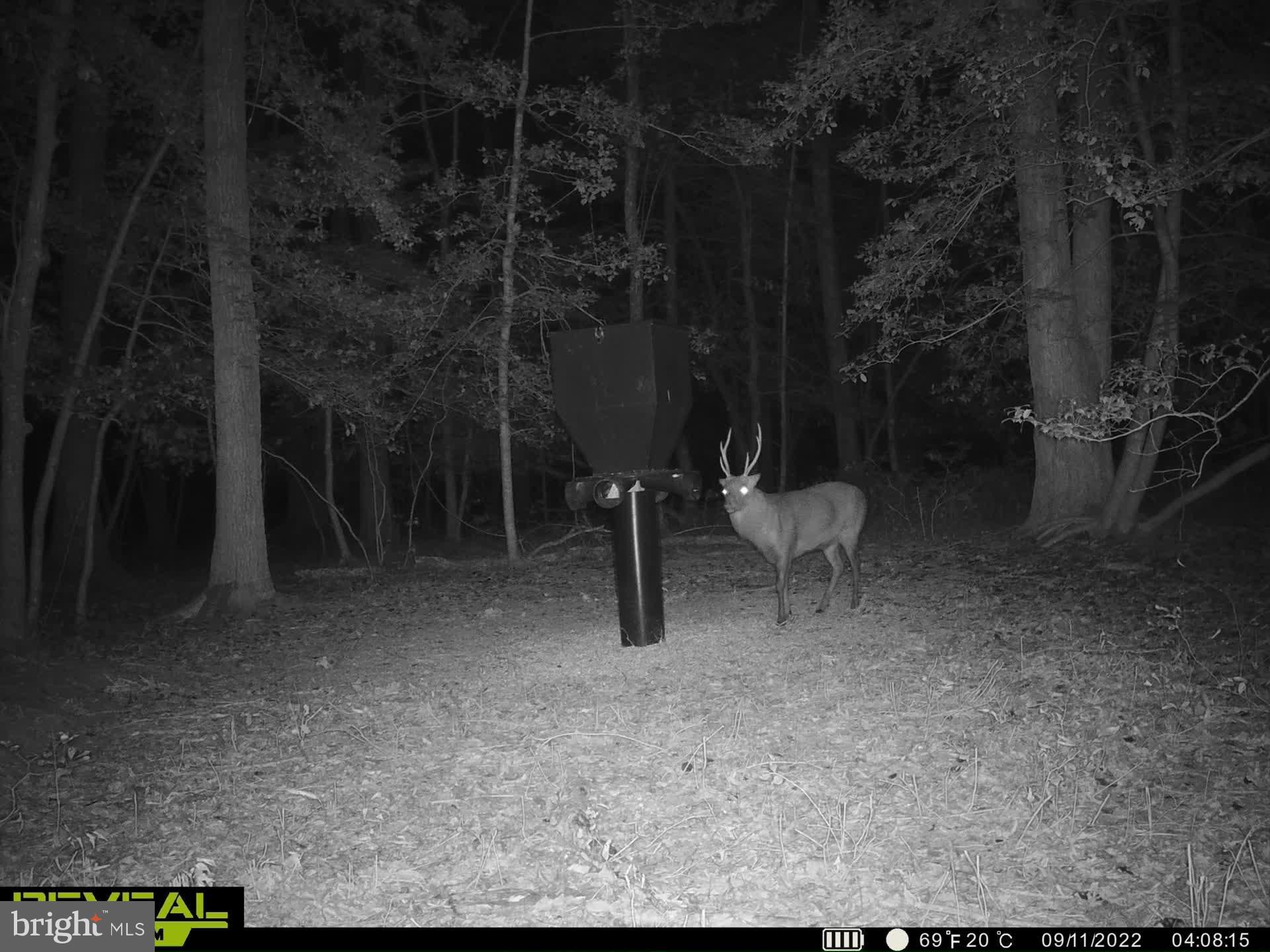 3819 Elliott Island Road Vienna, MD 21869 - Photo 6 of 24