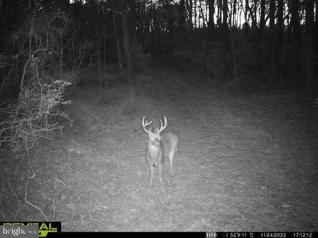 3819 Elliott Island Road Vienna, MD 21869 - Photo 7 of 24