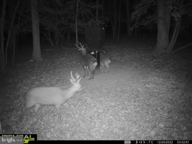 3819 Elliott Island Road Vienna, MD 21869 - Photo 10 of 24