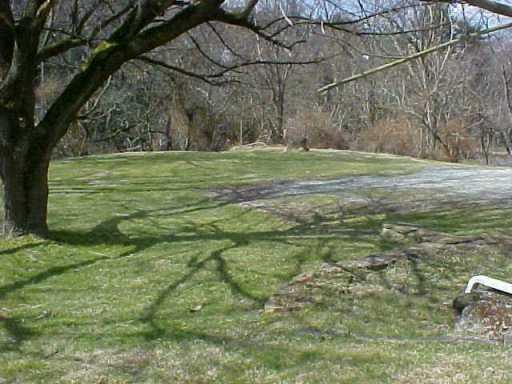 170 Drake Road Bethel Park, PA 15102 - Photo 8 of 8 Yard/Garden.