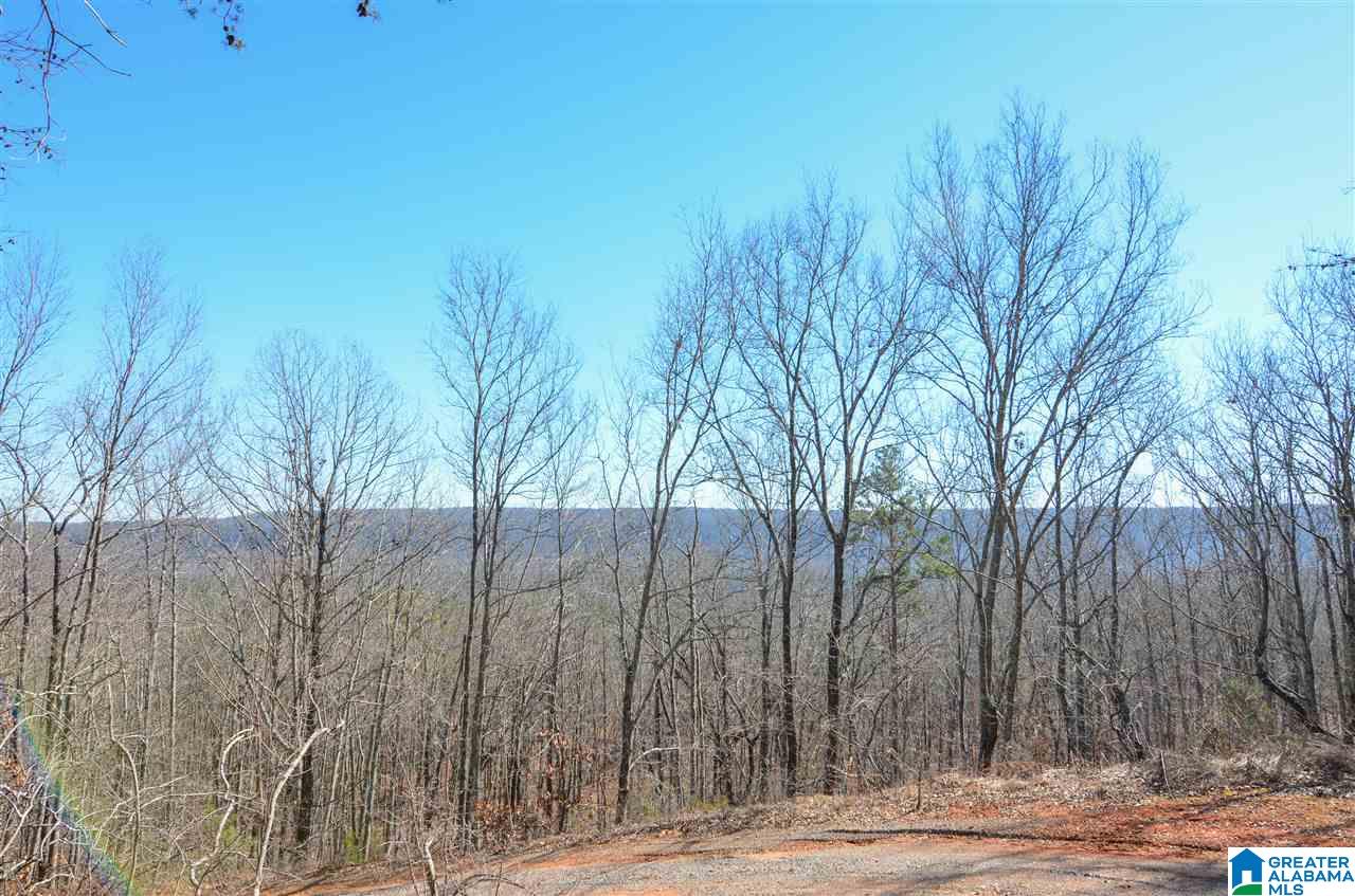 0 Springstone Trail, Unit 6 Leeds, AL 35094 - Photo 7 of 7