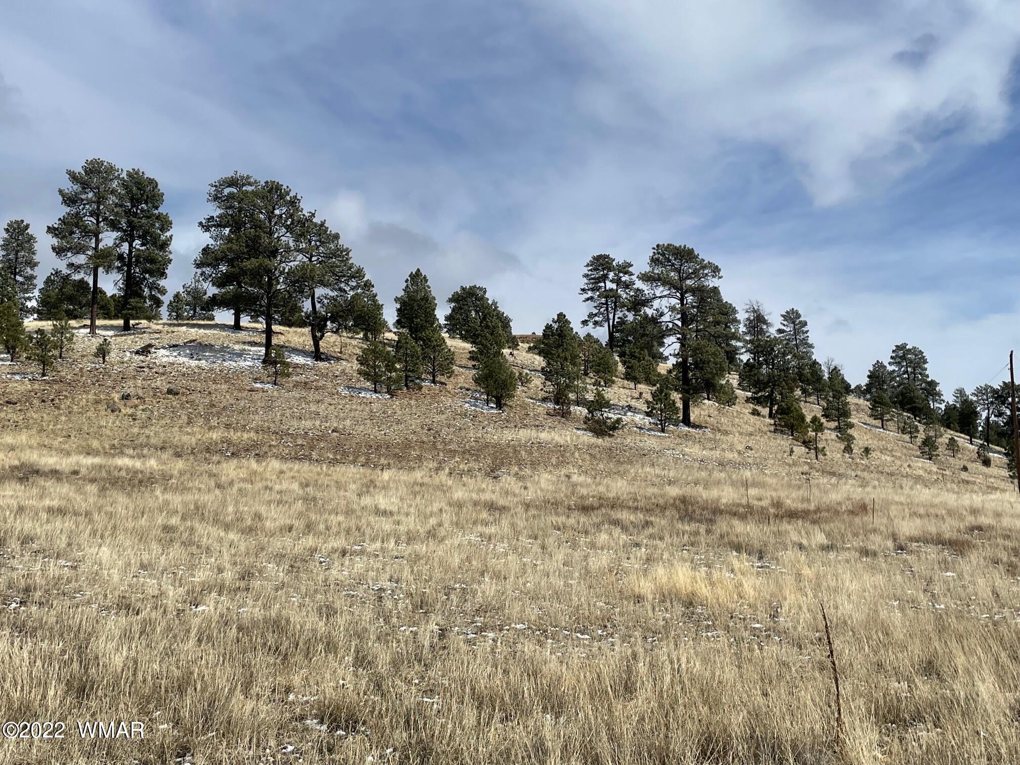 Lot 19 County Road Alpine, AZ 85920 - Photo 1 of 6