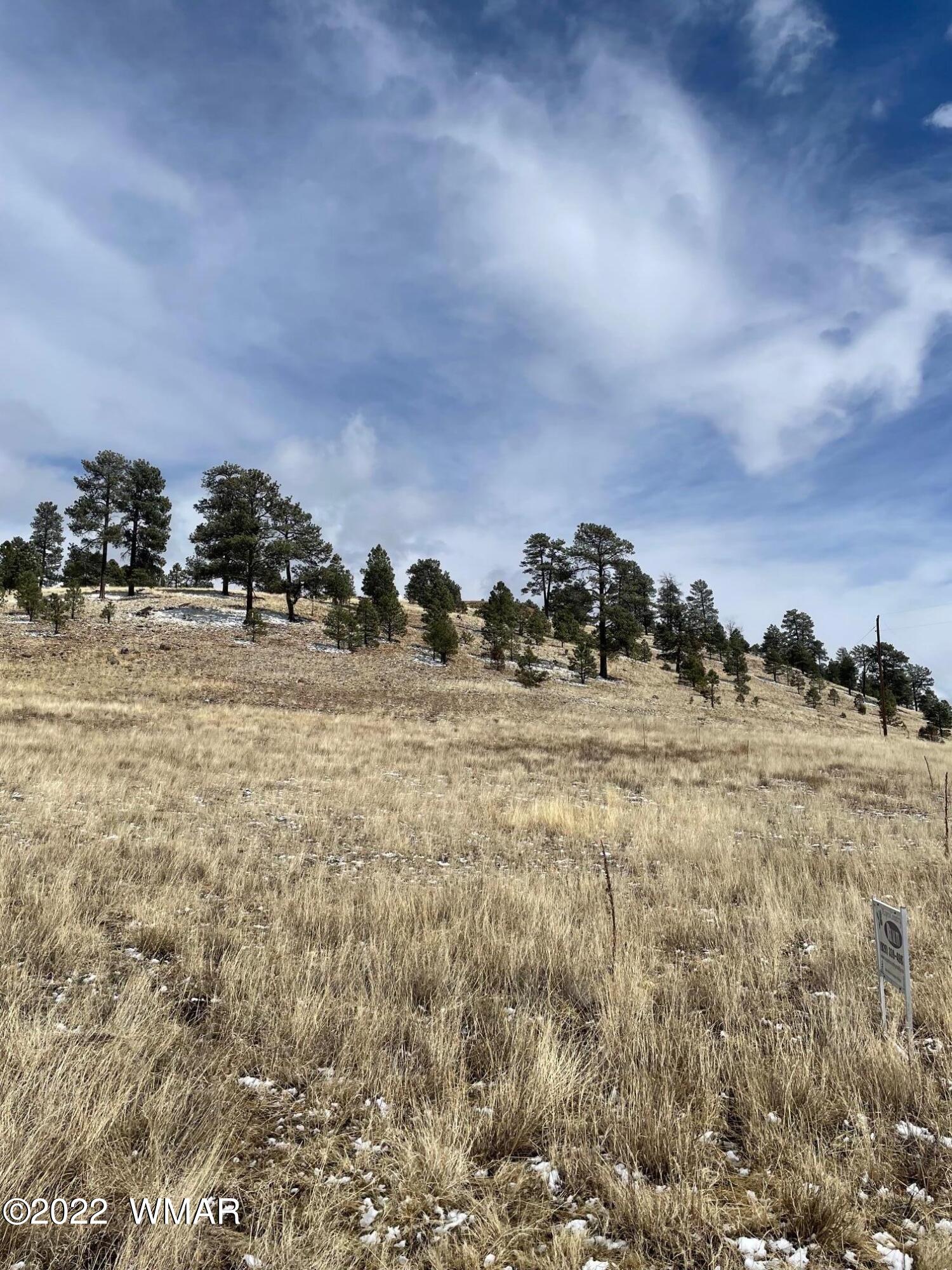 Lot 19 County Road Alpine, AZ 85920 - Photo 2 of 6