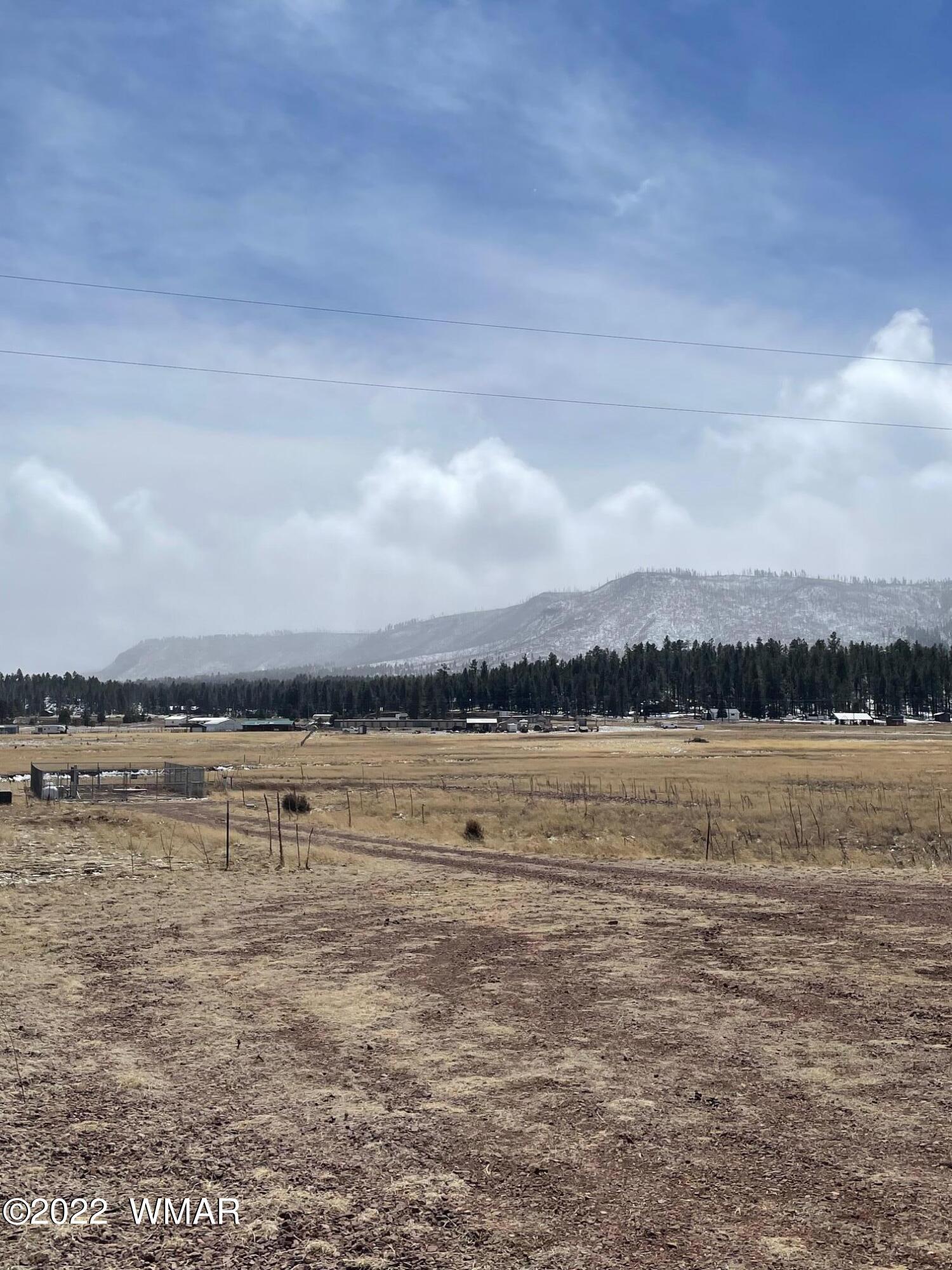 Lot 19 County Road Alpine, AZ 85920 - Photo 4 of 6