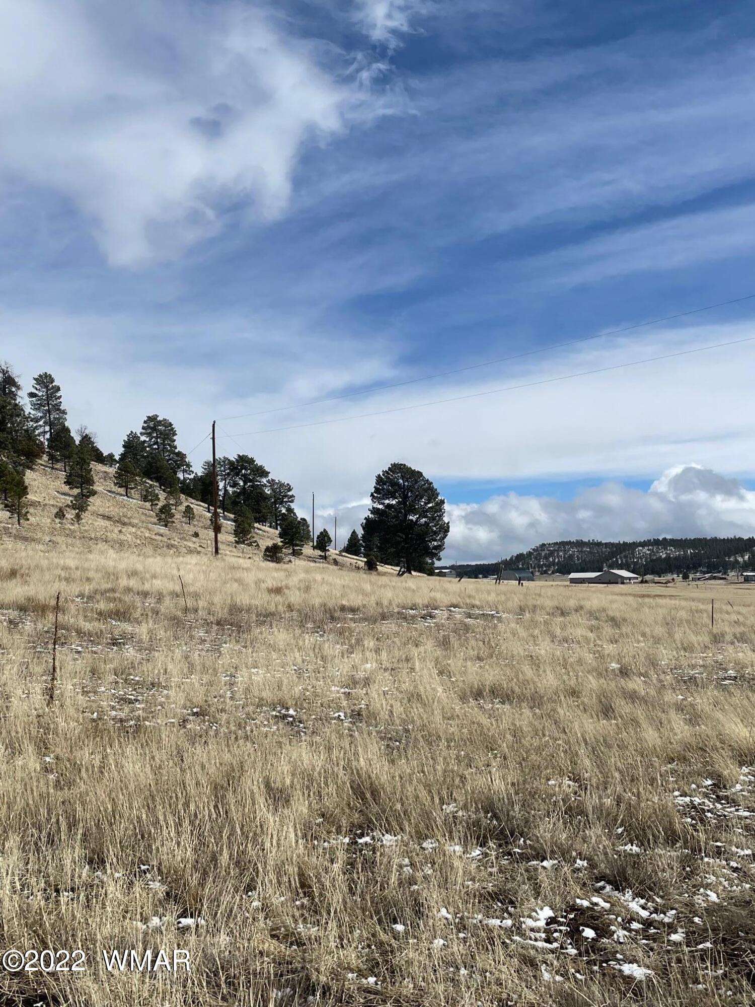 Lot 19 County Road Alpine, AZ 85920 - Photo 5 of 6