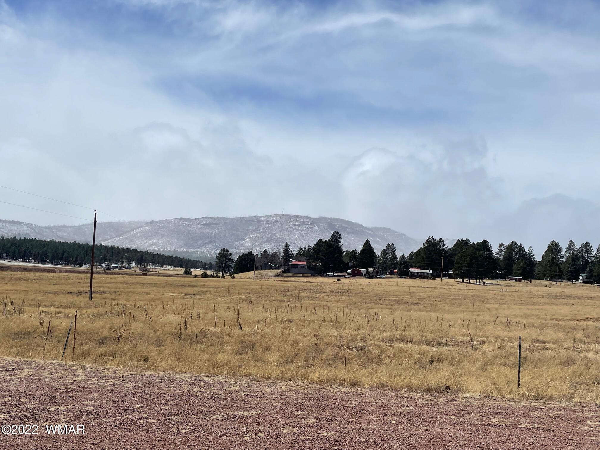 Lot 19 County Road Alpine, AZ 85920 - Photo 6 of 6