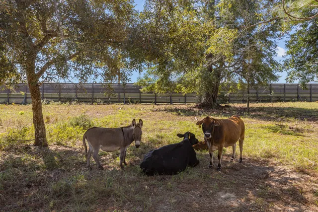 $3,250,000 | 13796 Highway 81, Ponce de Leon, FL 32455