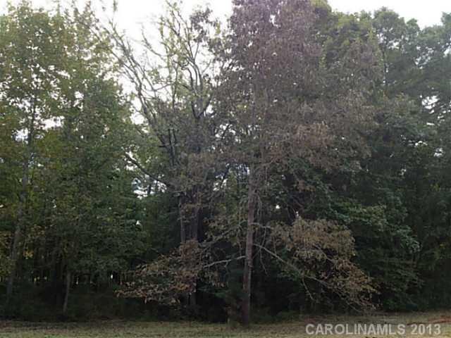 7143 Henry Harris Road Lancaster, SC 29720 - Photo 4 of 13 Gallery Image 4