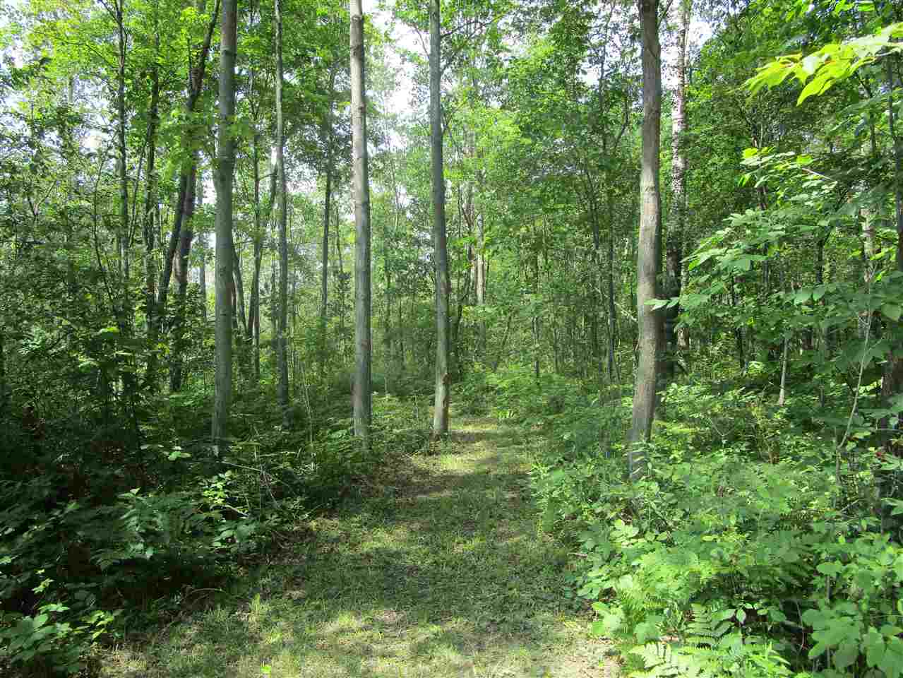 3818 Klender Road Rhodes, MI 48652 - Photo 28 of 42