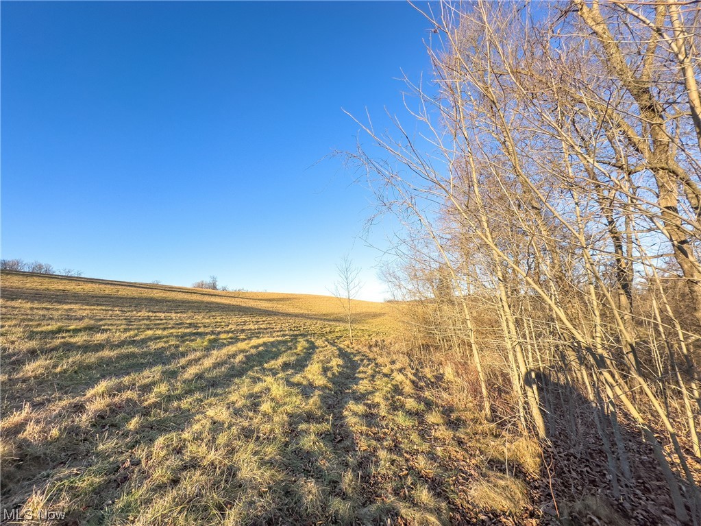 Repik Road Bethesda, OH 43719 - Photo 10 of 25 Gallery Image 10