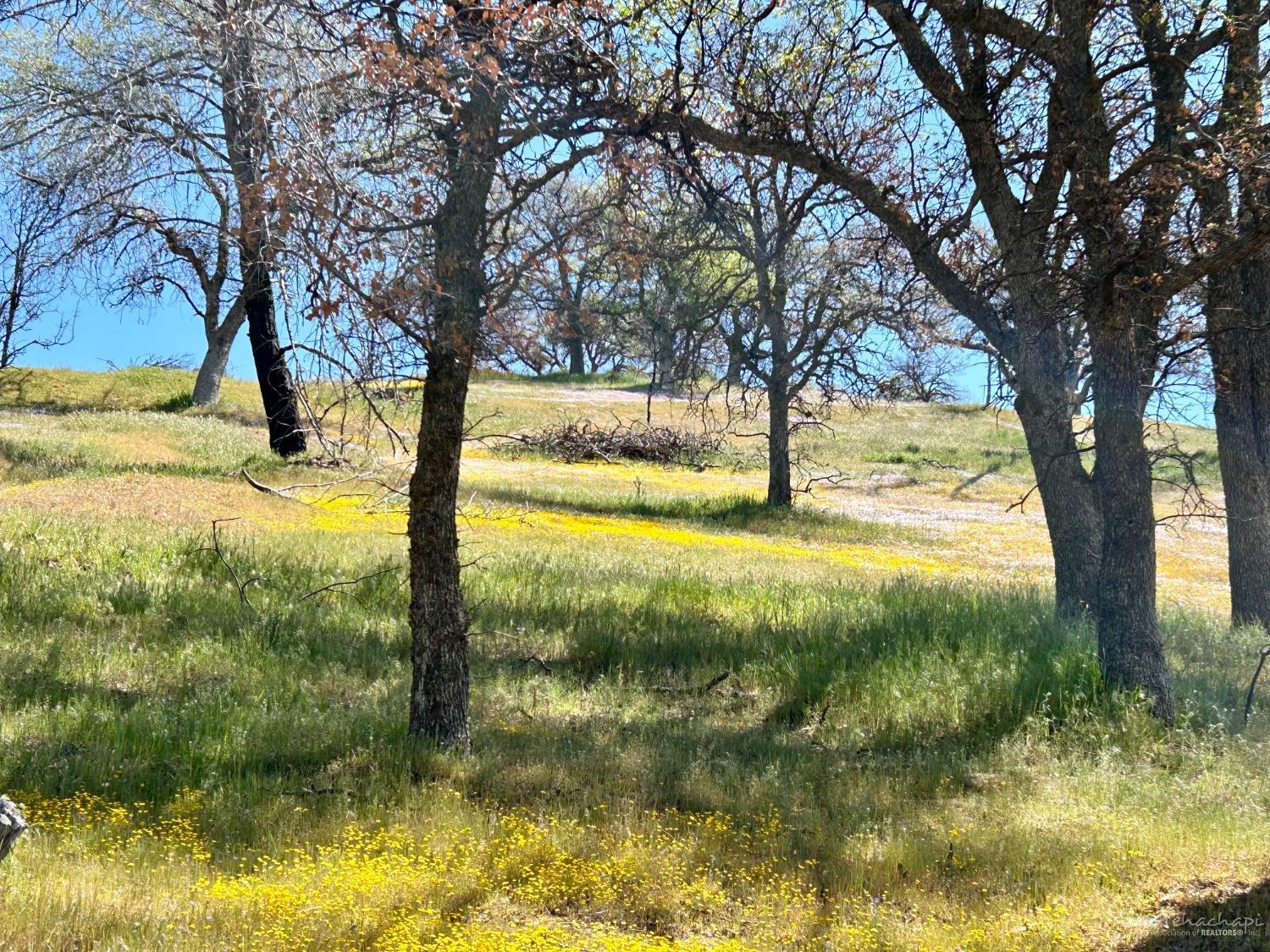 0 Piute Meadows Road Caliente, CA 93518 - Photo 1 of 18 Gallery Image 1