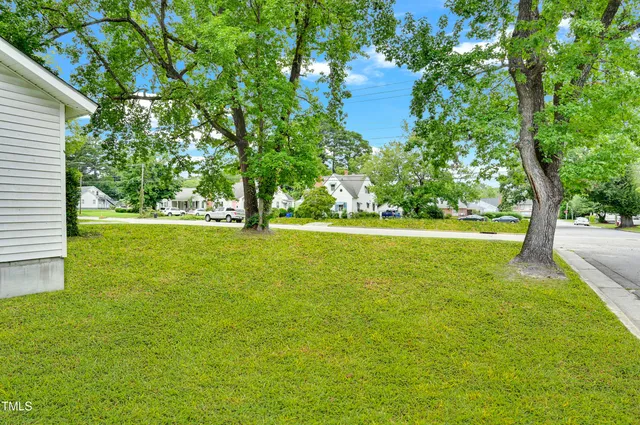 a view of a field with a tree