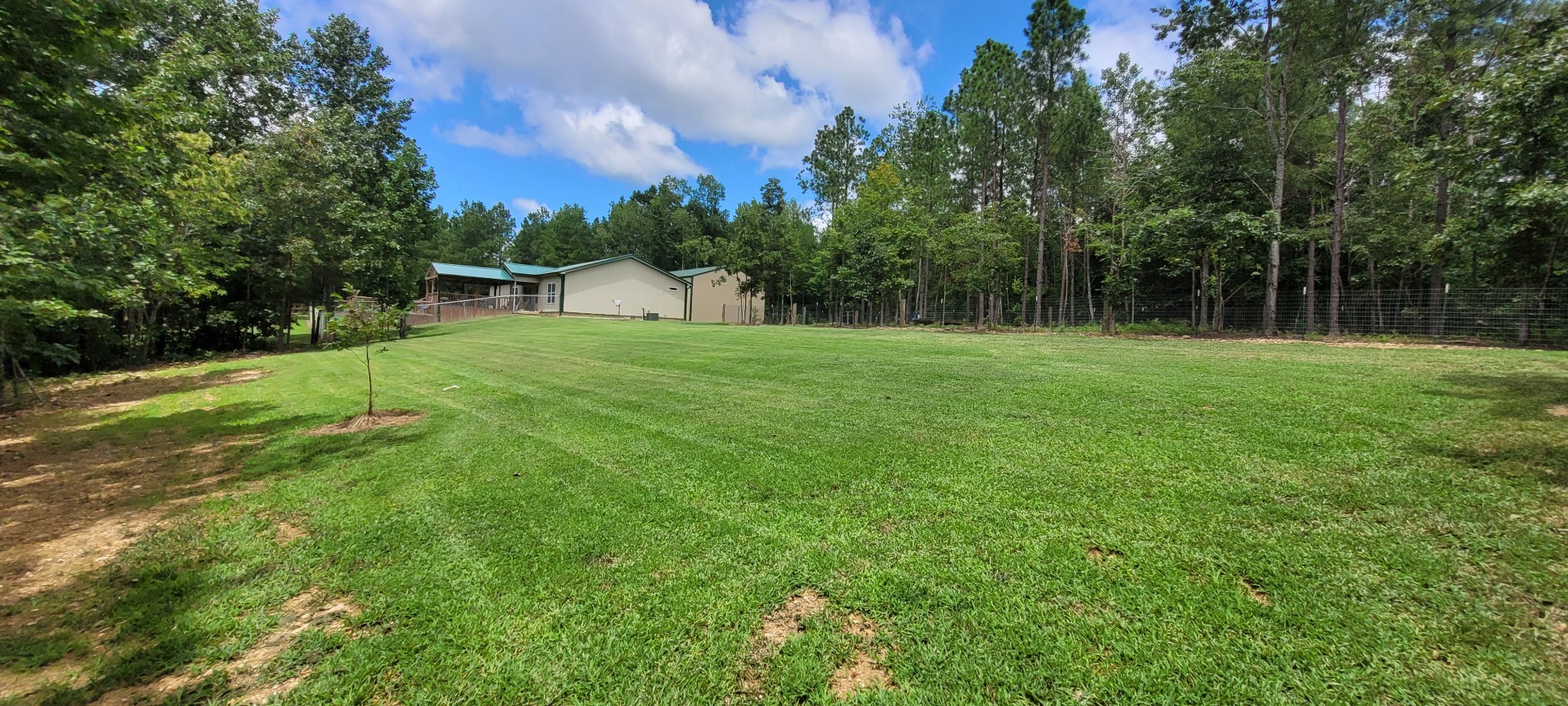 167 Freeman Fielder Road Tennessee Ridge, TN 37178 - Photo 29 of 60