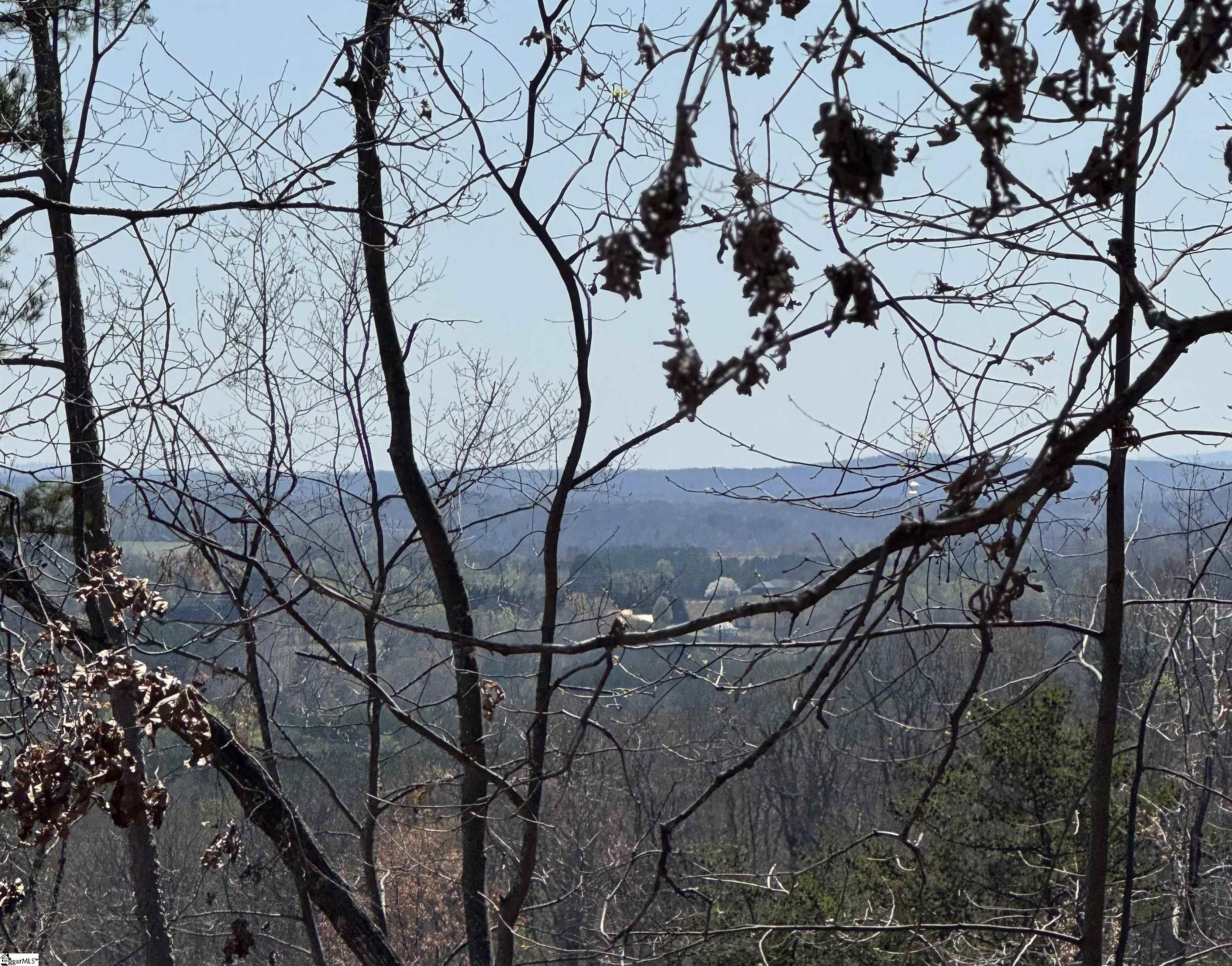 32497 Goforth Road Landrum, SC 29356 - Photo 1 of 7