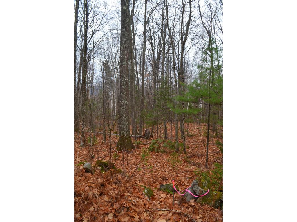 348 Cherry Hill Road Grafton, NH 03240 - Photo 8 of 12 Gallery Image 8