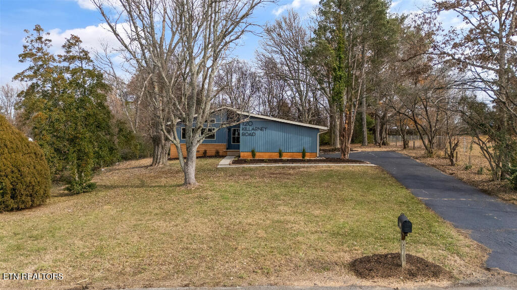 120 Killarney Road Knoxville, TN 37923 - Photo 3 of 20 02