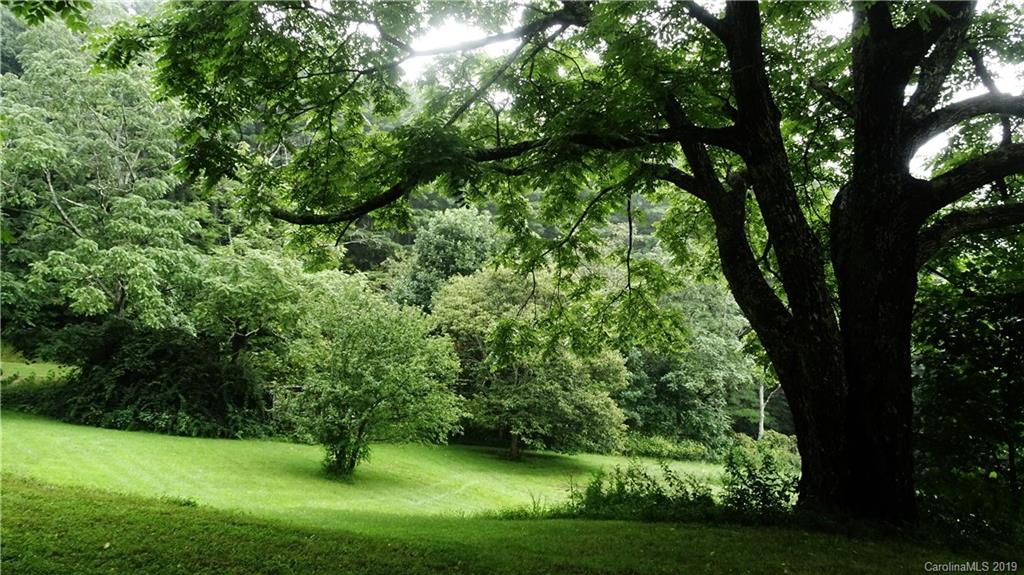 360 Banjo Branch Road Burnsville, NC 28714 - Photo 4 of 17 a view of yard with green space