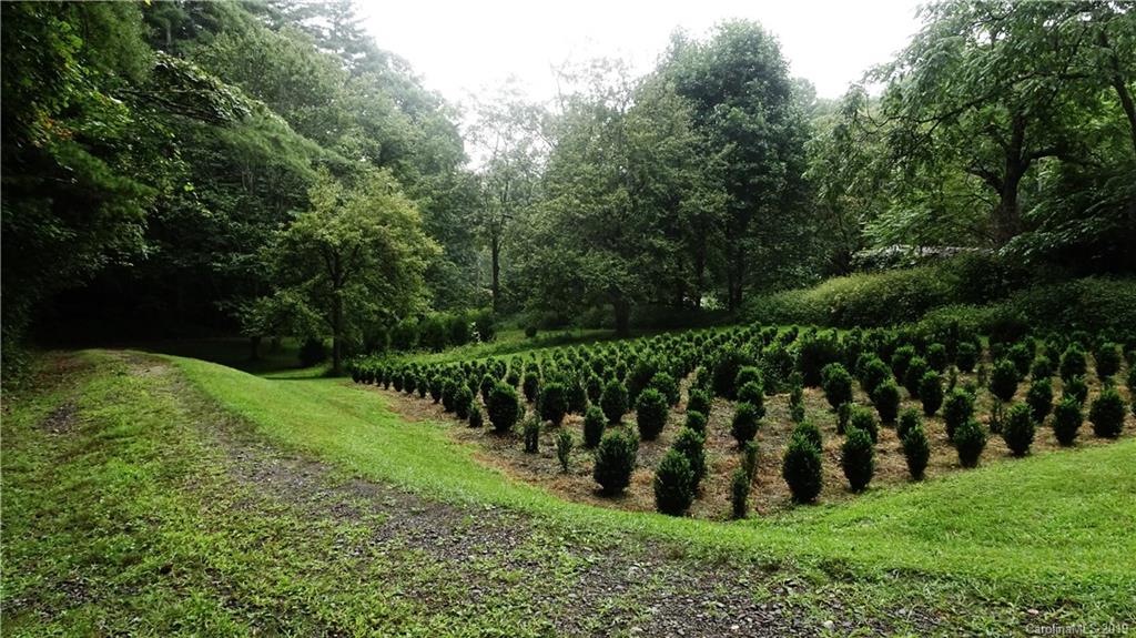 360 Banjo Branch Road Burnsville, NC 28714 - Photo 5 of 17 a view of a park