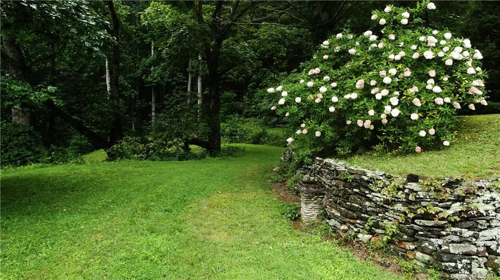 360 Banjo Branch Road Burnsville, NC 28714 - Photo 8 of 17 a view of a tree