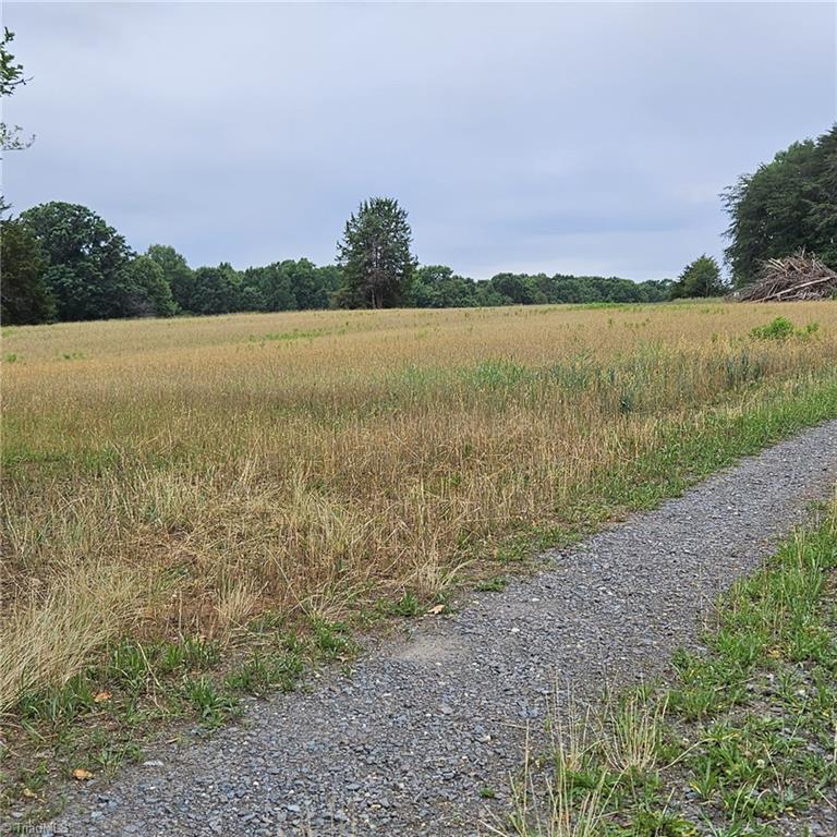 2025 Lace Knoll Road East Bend, NC 27018 - Photo 8 of 42